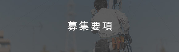 見出し：募集要項